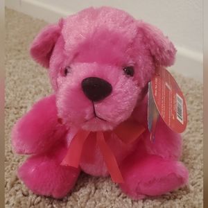 Hot Pink Rainbow Bear
